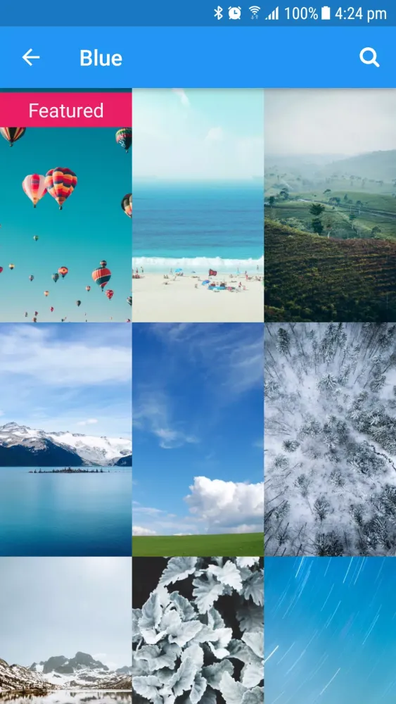 Wallpaper App Template Screenshots