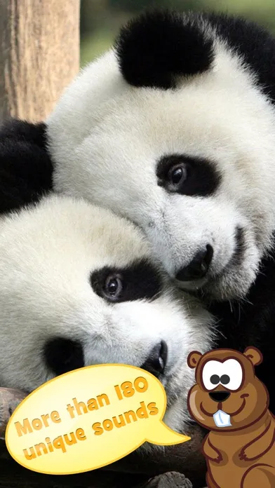 Ảnh chụp màn hình của Animal sound: educational game
