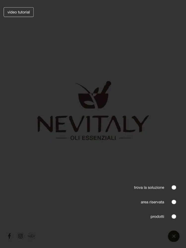 Tangkapan skrin Nevitaly Mobile iPad 
