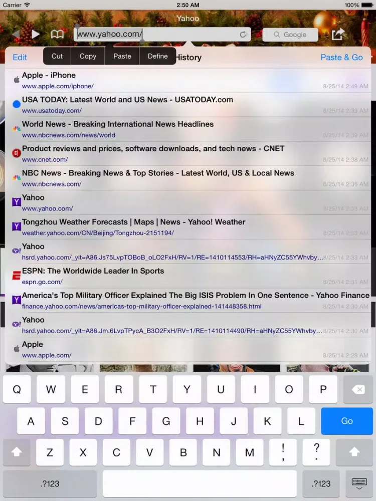 Fast Web Browser - New automatic full screen firefox chrome like themes edition iPad  Screenshots