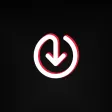 SnapTik Video Downloader