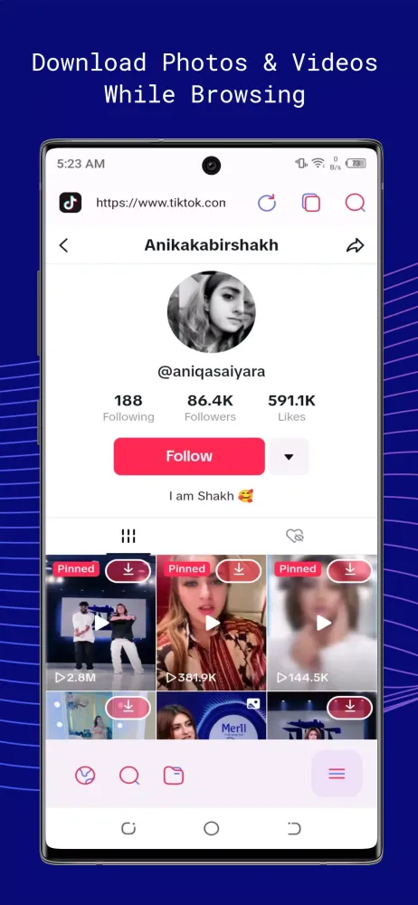 Screenshot di SnapTik Video Downloader