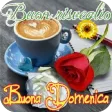 Buona Domenica!