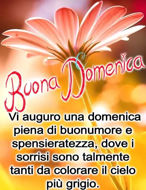 Buona Domenica! Screenshots