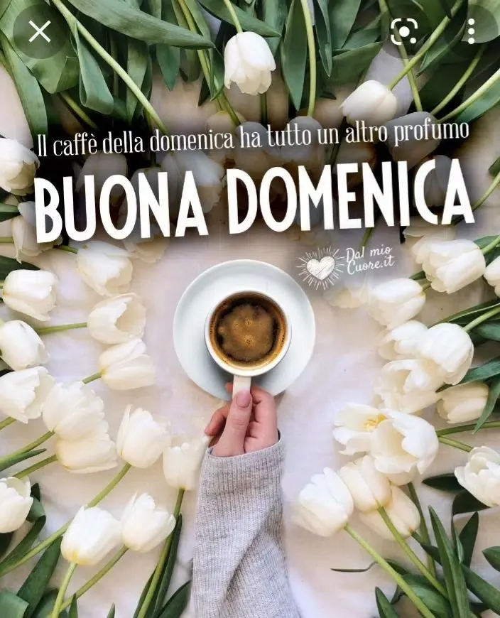 Buona Domenica! Screenshots