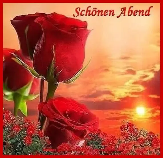 Guten Abend应用截图