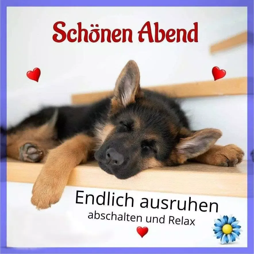 Guten Abend应用截图