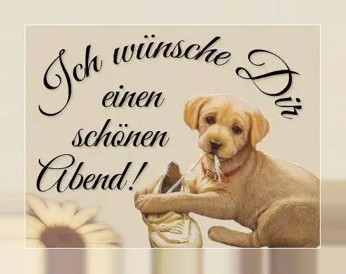 Guten Abend应用截图