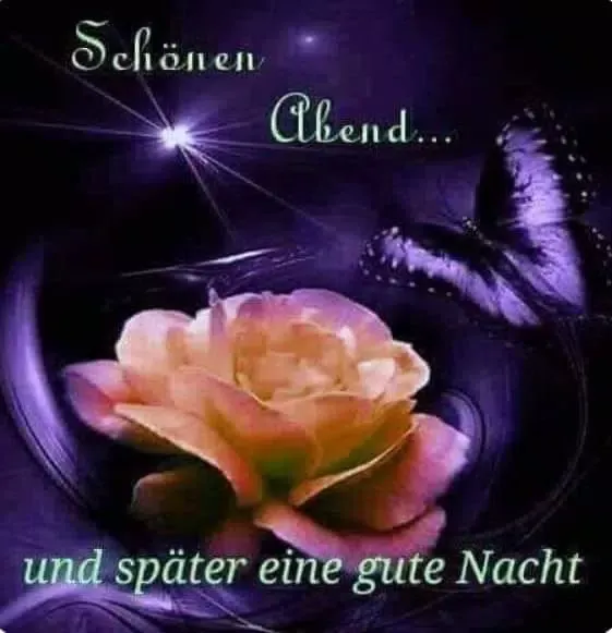 Guten Abend应用截图