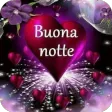 Buona notte