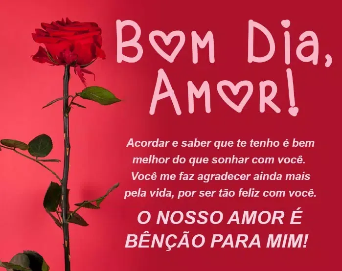 Bom Dia Meu Amor Screenshots