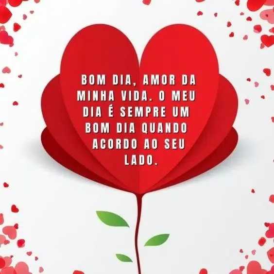 Bom Dia Meu Amor Screenshots