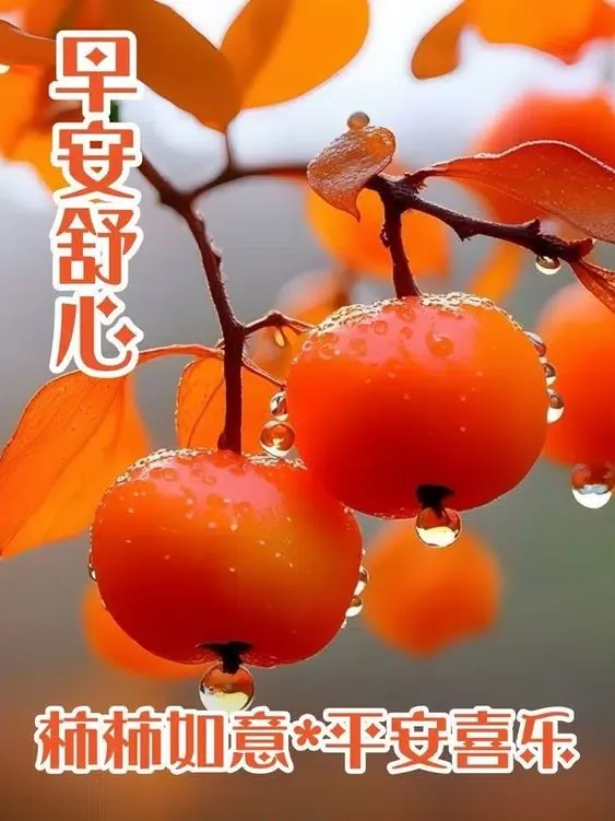 Screenshot di 早上好