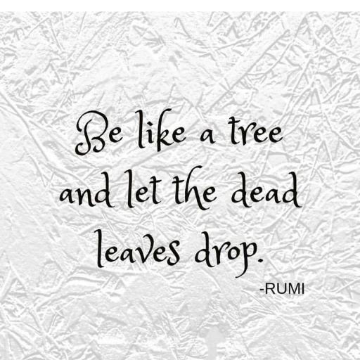 Rumi Quotes
