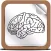 Brain Terminology
