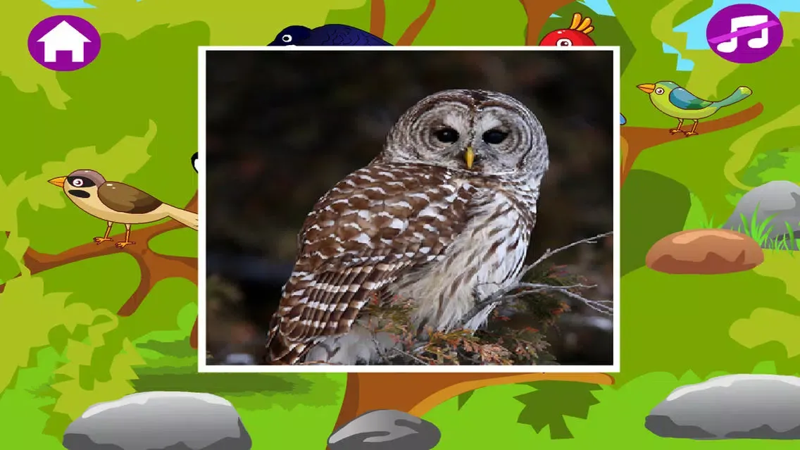 Animal Sounds Free-Fun Animal Sounds Game for Kids Screenshots