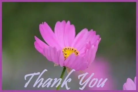 Thank You Greets Screenshots