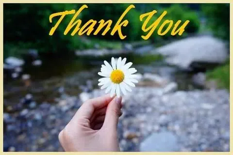 Thank You Greets Screenshots