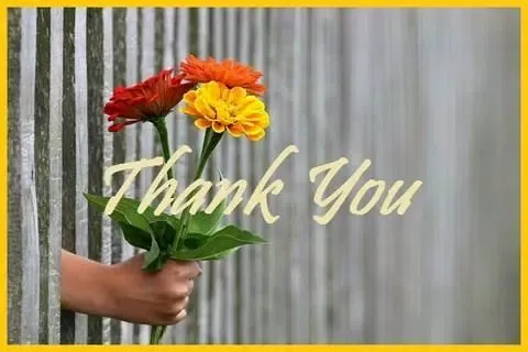 Thank You Greets Screenshots