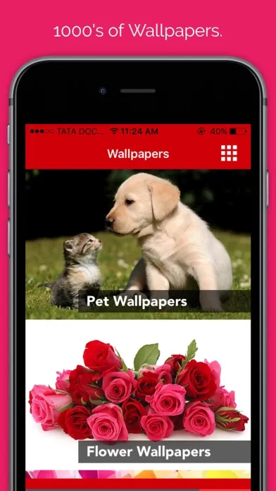 Pet wallpaper pictures : Background of flowers, cats and dogs for your mobile lock screen應用截圖