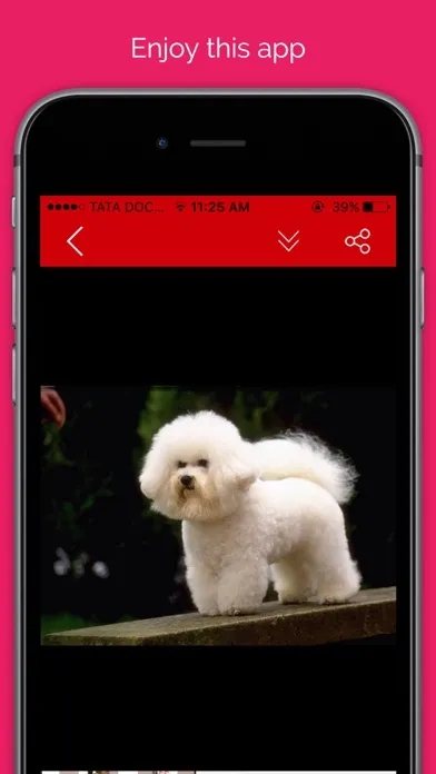 Pet wallpaper pictures : Background of flowers, cats and dogs for your mobile lock screen應用截圖