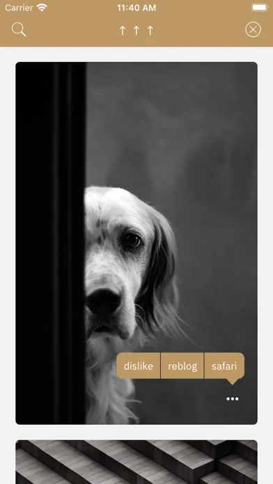 تصاویر T plus one - A tumblr client