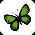 FYM – Fe y Misericordia FYM – Fe y Misericordia