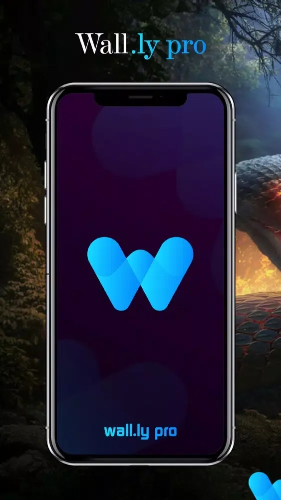 Wall.ly Pro Screenshots