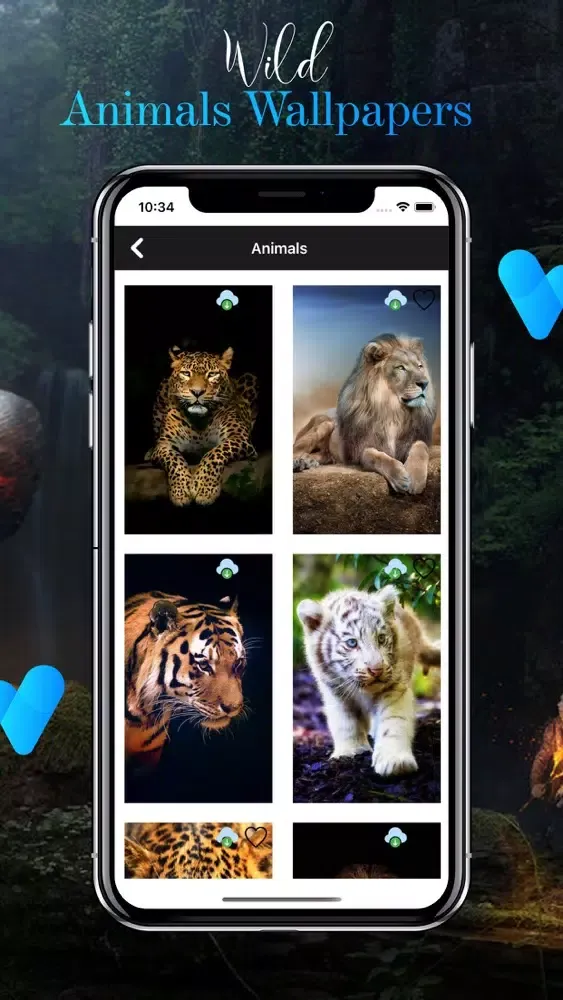 Wall.ly Pro Screenshots