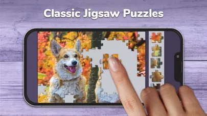 Jigsaw Puzzles Classic Games سکرین شاٹس