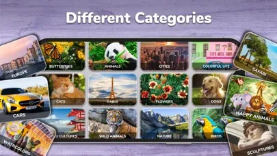 Jigsaw Puzzles Classic Games سکرین شاٹس