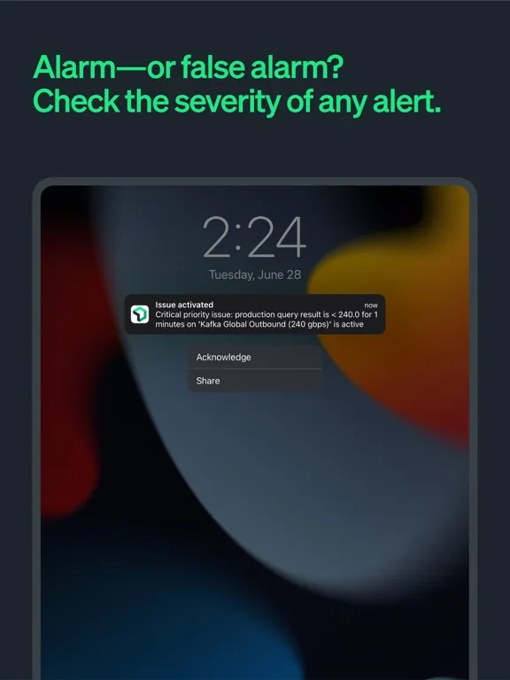 Ảnh chụp màn hình của New Relic iPad 
