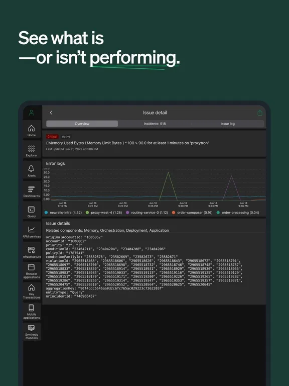 Ảnh chụp màn hình của New Relic iPad 