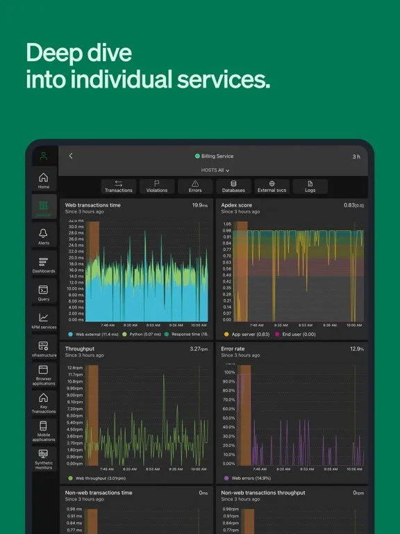 Ảnh chụp màn hình của New Relic iPad 