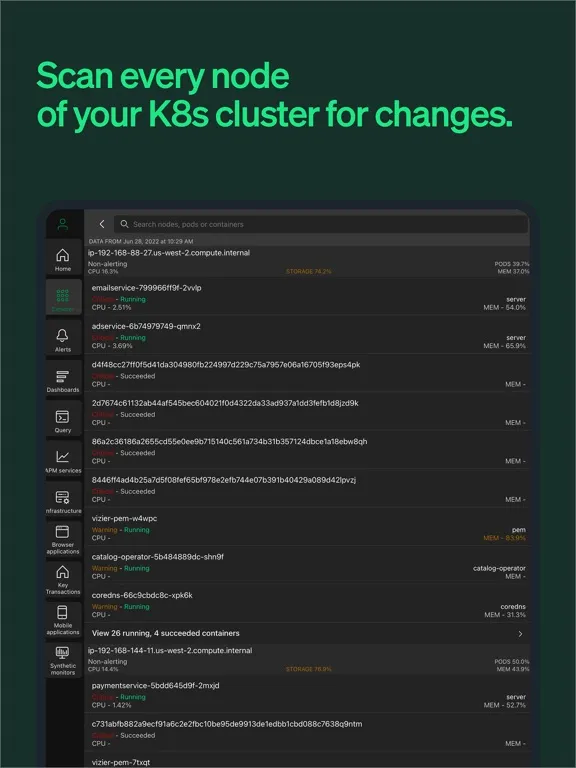Ảnh chụp màn hình của New Relic iPad 