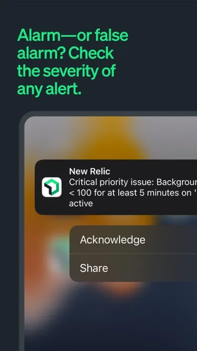 Ảnh chụp màn hình của New Relic
