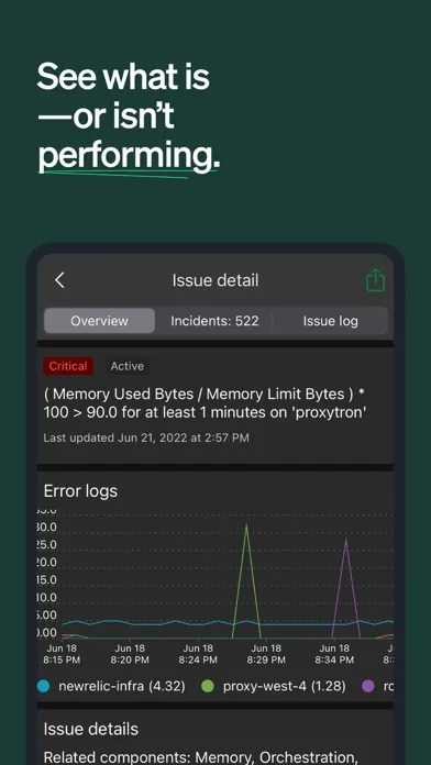 Ảnh chụp màn hình của New Relic