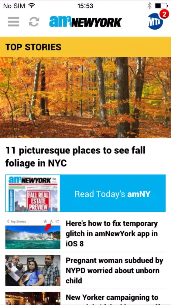 صور amNewYork