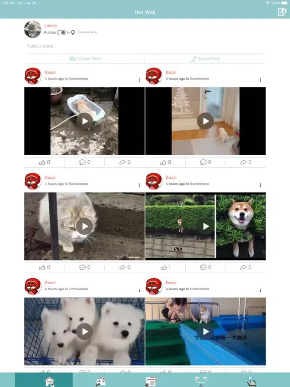Ảnh chụp màn hình của HiSoPets：分享寵物大小事 iPad 