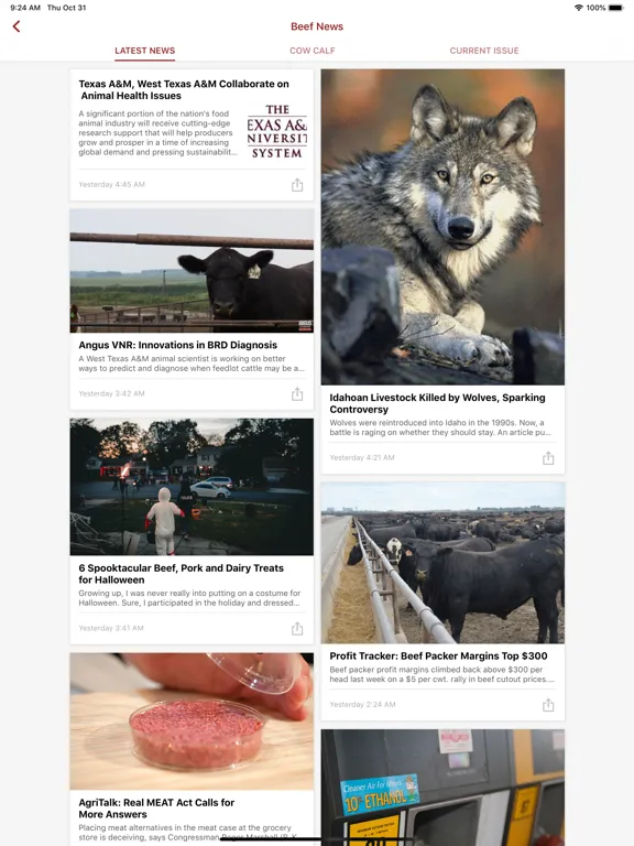 تصاویر Beef News and Markets iPad 