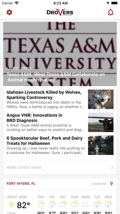 تصاویر Beef News and Markets