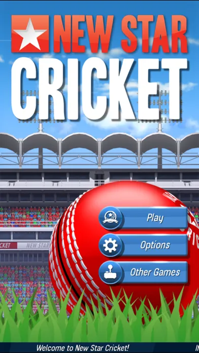 New Star Cricket Screenshots