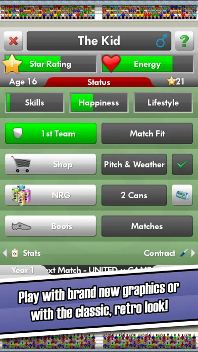 Скриншоты New Star Soccer