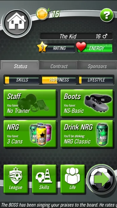 Скриншоты New Star Soccer