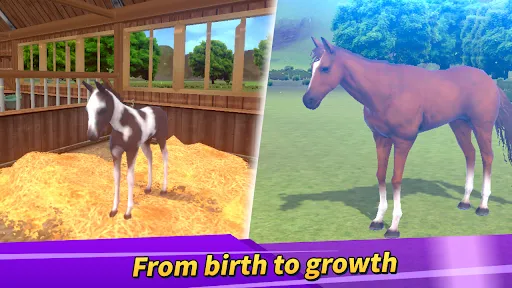 Capturas de tela do Derby Life : Horse racing
