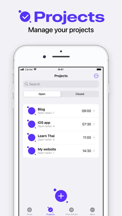 Timesheet - Moons Screenshots