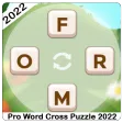 Pro Word Cross Puzzle 2022