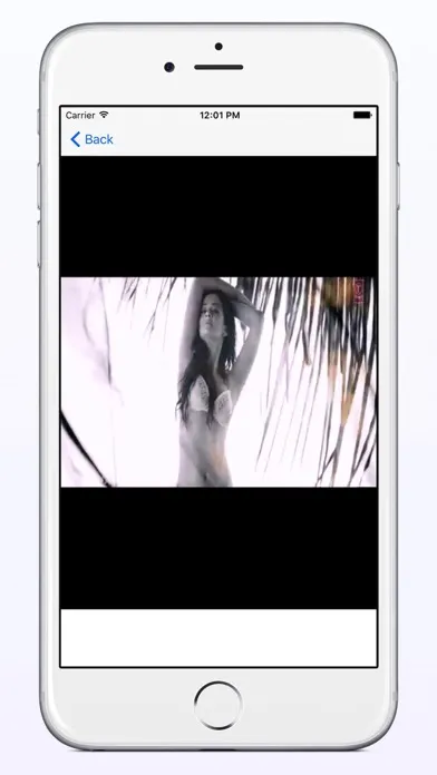 Ảnh chụp màn hình của Hindi Hot Songs