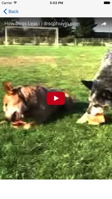Ảnh chụp màn hình của Dog Training (Free)