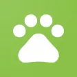 Animals Sound for fun